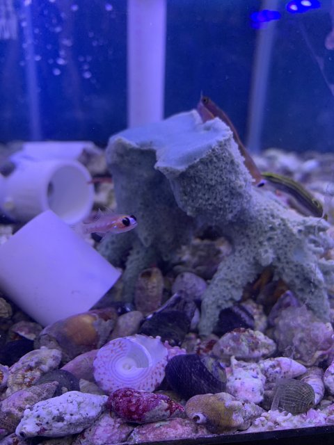 9010F034-9544-48D0-9F9E-52A2117564F4.jpeg 9010F034-9544-48D0-9F9E-52A2117564F4.jpeg