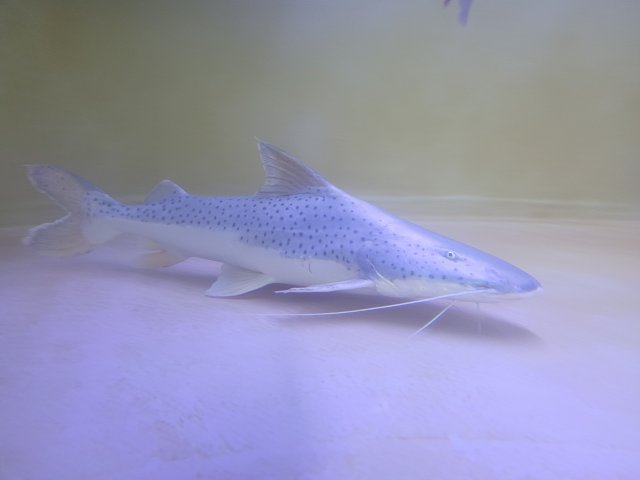 20220523_214436.jpg