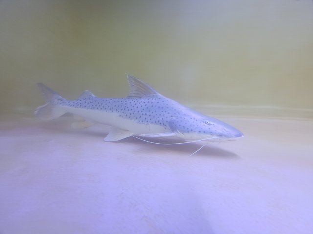 20220523_214434.jpg