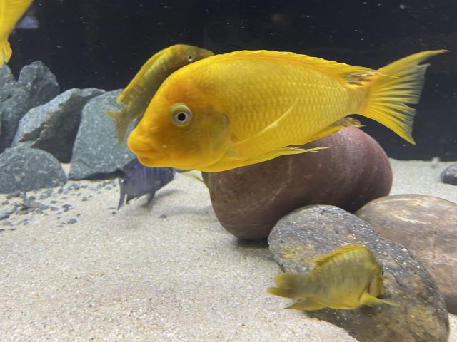 0B8E78BF-12F9-4BFC-9A30-FA54247DA02A.jpeg 0B8E78BF-12F9-4BFC-9A30-FA54247DA02A.jpeg