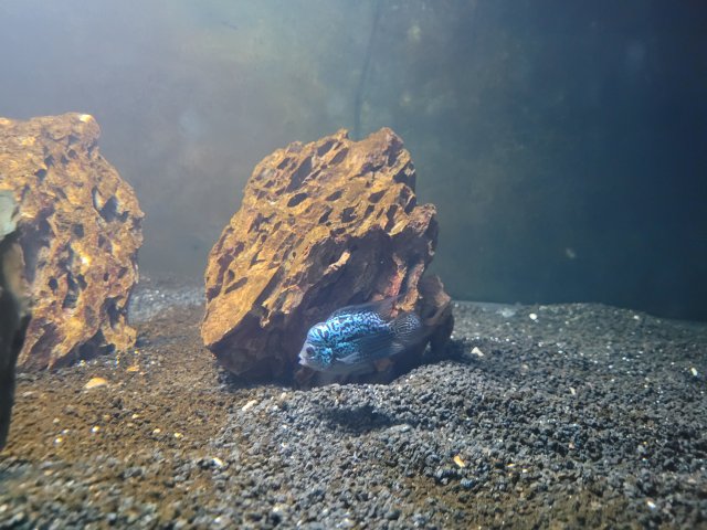 20220527_144110.jpg