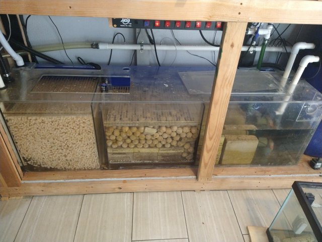 IMG_20220529_092432601.jpg IMG_20220529_092432601.jpg