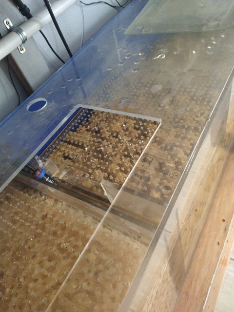 IMG_20220529_092420608.jpg IMG_20220529_092420608.jpg