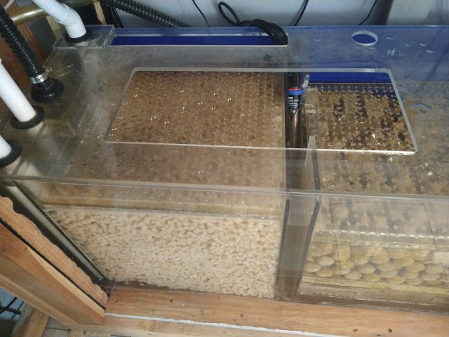 IMG_20220529_092410859.jpg IMG_20220529_092410859.jpg