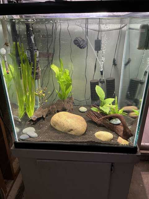 60 gallon cube