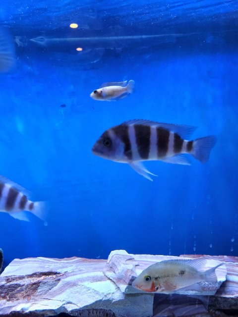 20220603_005745.jpg