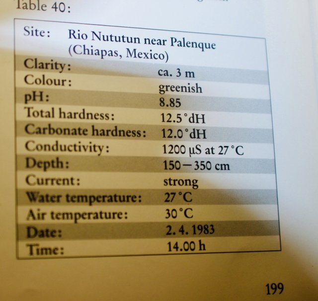 831F57A2-B5A0-4575-8C14-5F8384697AF5_1_201_a.jpeg