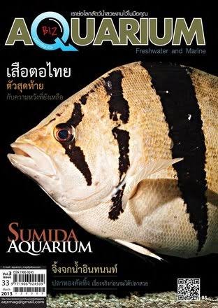 images - 2022-06-02T004815.544.jpeg