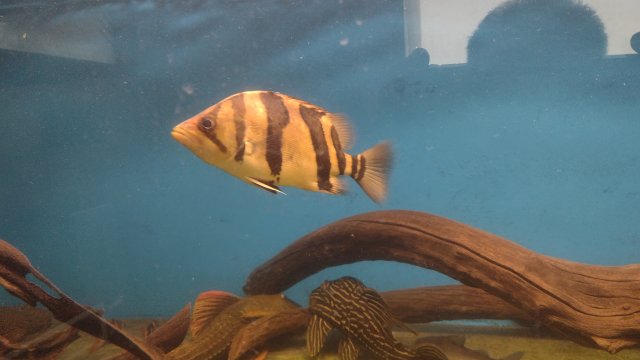 IMG_20220517_100251330.jpg