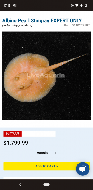 Screenshot_20220610-171518.png