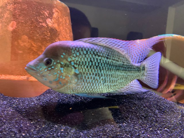 img3261.jpg img3261.jpg