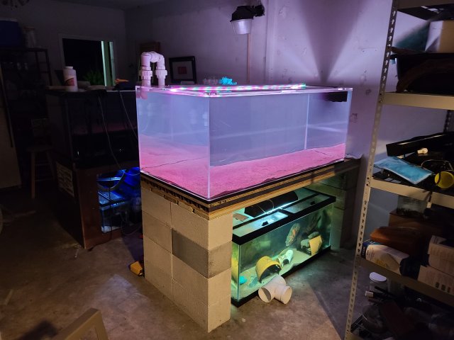 20220611_214331.jpg