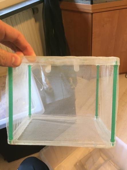 para 2.jpg
