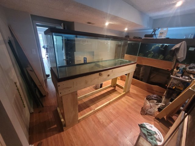 20220619_124658.jpg
