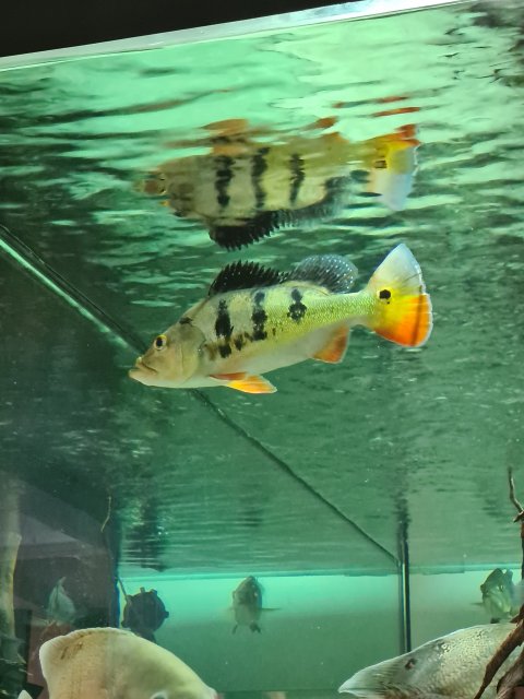 20220622_134300.jpg