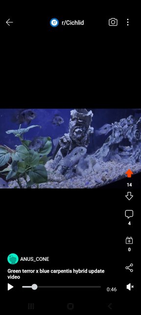 Screenshot_20220623-181820_Reddit.jpg