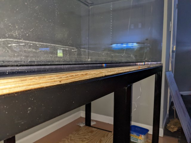 PXL_20220625_190452617.jpg