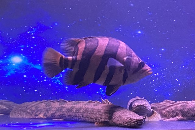 E1141BB8-27F2-4C84-8233-C462211B8D1F.jpeg