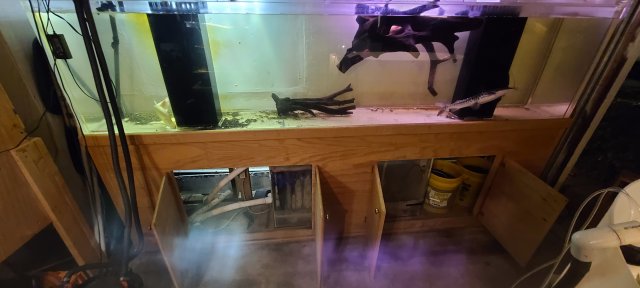 20211104_213348.jpg 20211104_213348.jpg
