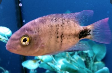 Screen Shot 2022-07-07 at 9.35.09 PM.png