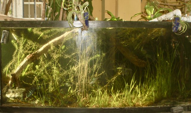 D55C93E3-9CF1-411C-AC21-967E7B1E0A37_1_201_a.jpeg D55C93E3-9CF1-411C-AC21-967E7B1E0A37_1_201_a.jpeg