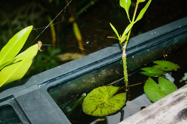 6651BBC4-310B-4F2A-B67A-EAD27F10158C_1_201_a.jpeg 6651BBC4-310B-4F2A-B67A-EAD27F10158C_1_201_a.jpeg