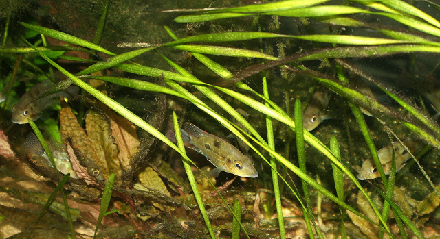 1657455846732.png 1657455846732.png