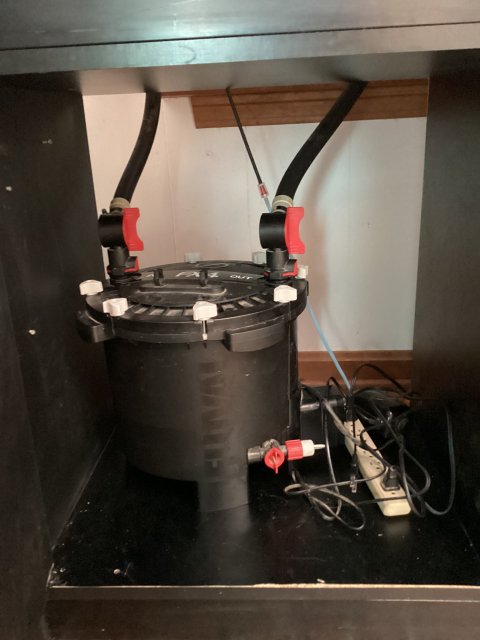 1CA3F30B-C650-4C4C-93D7-EA40C6C46D22.jpeg 1CA3F30B-C650-4C4C-93D7-EA40C6C46D22.jpeg