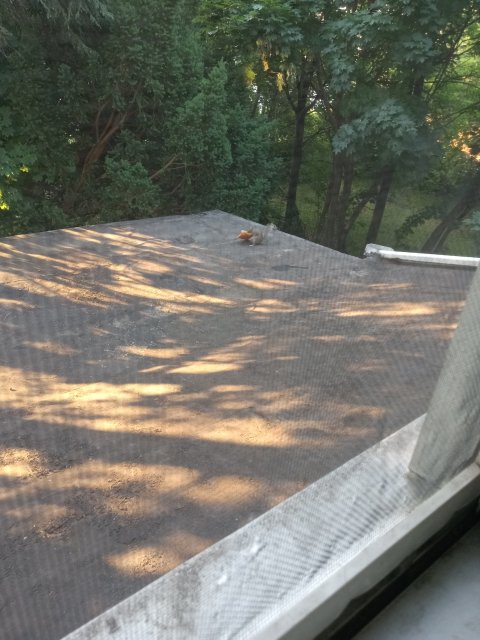 20220714_065048.jpg