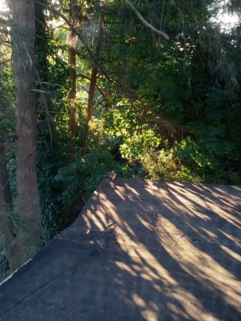 20220714_065531.jpg