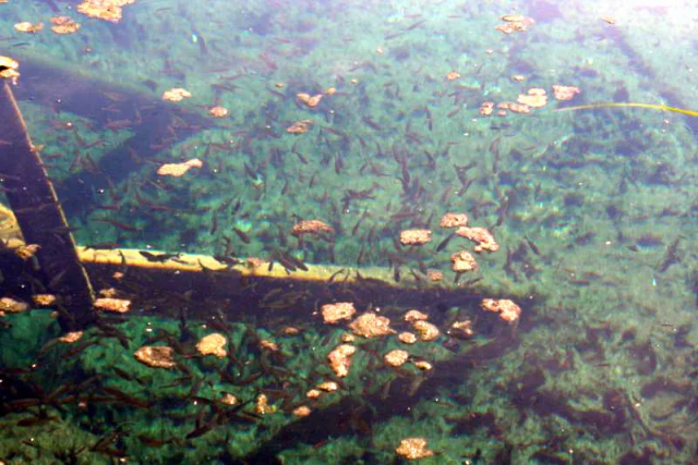 1657971399021.png 1657971399021.png