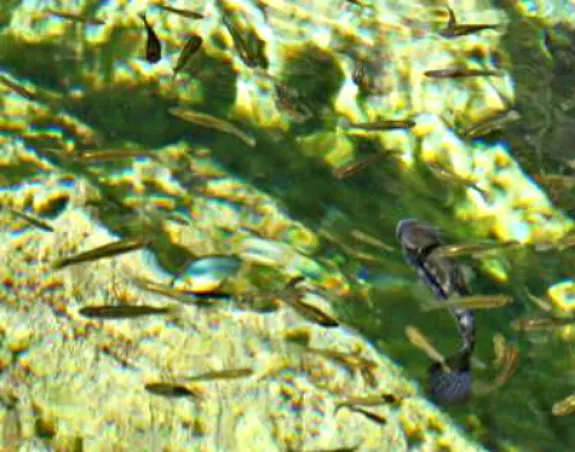 1657971594743.png 1657971594743.png