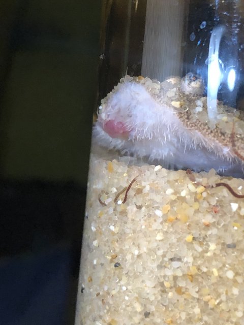 DD1BDD72-8C20-4203-BFBD-6FEF7CF0C50C.jpeg DD1BDD72-8C20-4203-BFBD-6FEF7CF0C50C.jpeg