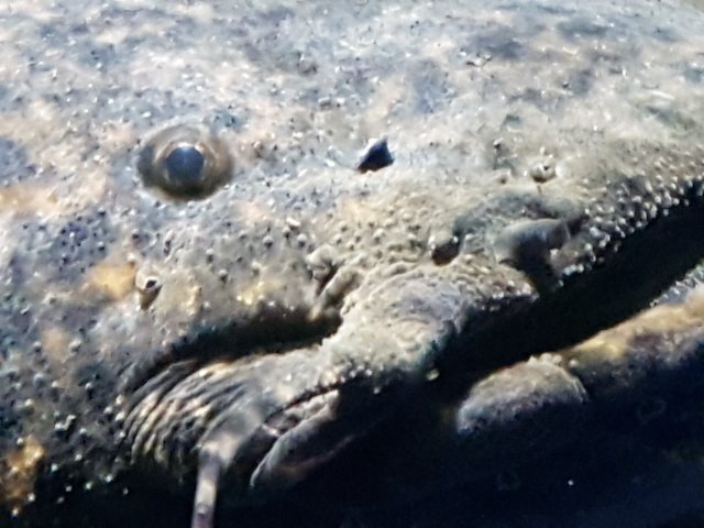 20220718_002455.jpg
