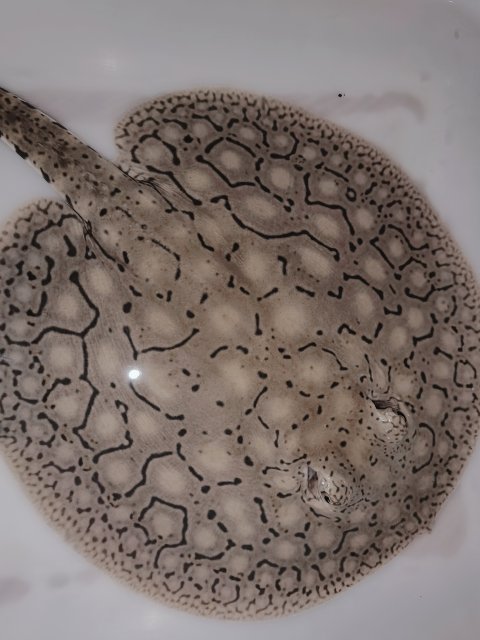 Wuta_20220718_025618.jpg