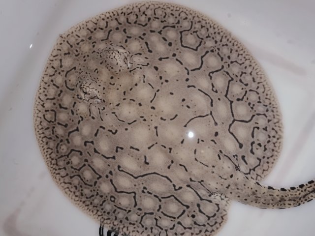 Wuta_20220718_024712.jpg