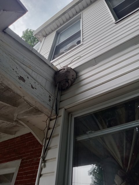 20220718_170352.jpg