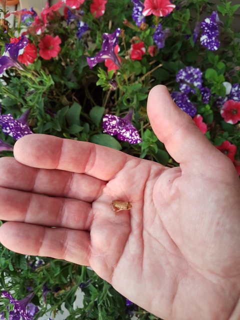 20220719_210247.jpg
