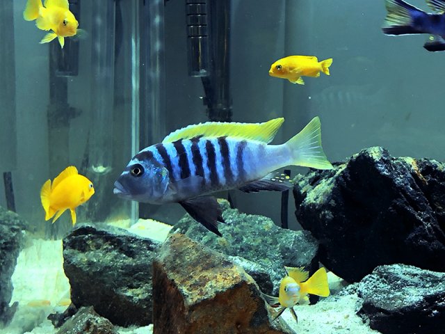 03_JaloReef-03_800.jpg