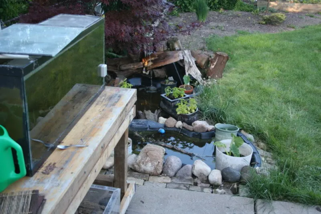 1658918537304.png 1658918537304.png