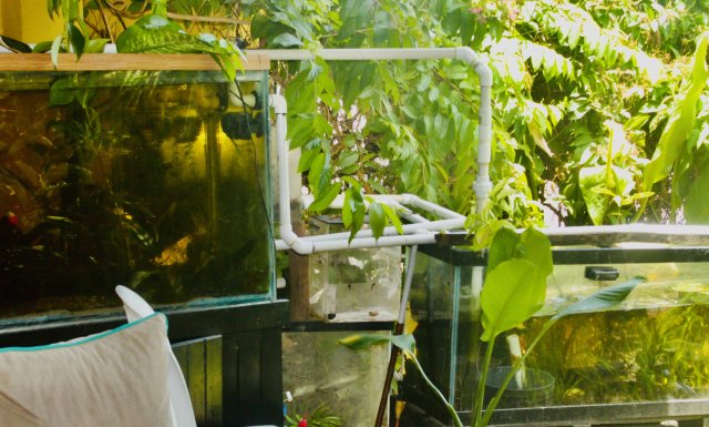 68EB1770-9E8B-4AC8-9B9C-1CAA0E00ABFC_1_201_a.jpeg 68EB1770-9E8B-4AC8-9B9C-1CAA0E00ABFC_1_201_a.jpeg