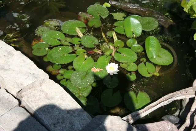 1658919664778.png 1658919664778.png