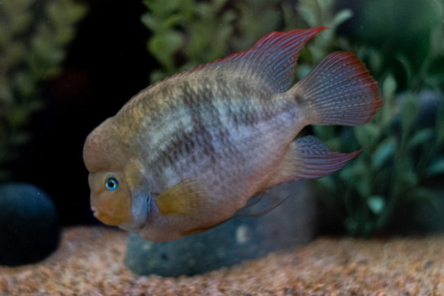 _DSC3134.jpg _DSC3134.jpg