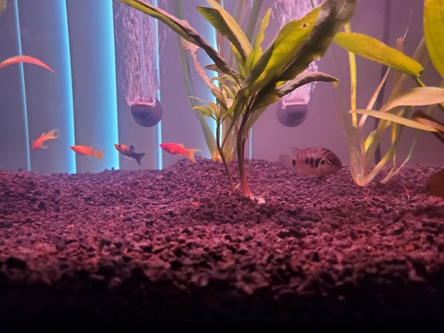 20220803_071338.jpg