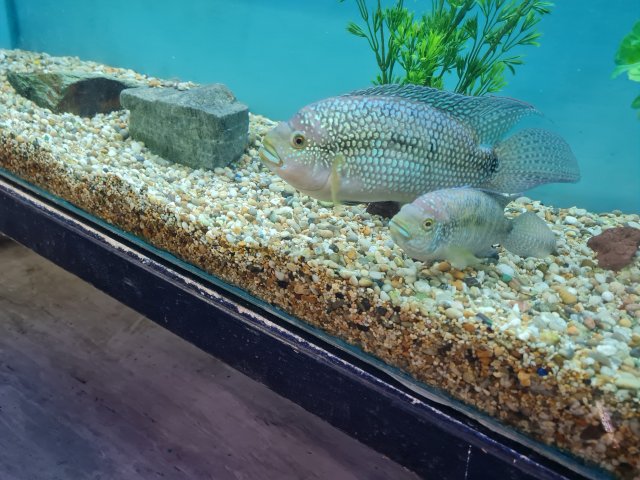 20220804_113609.jpg