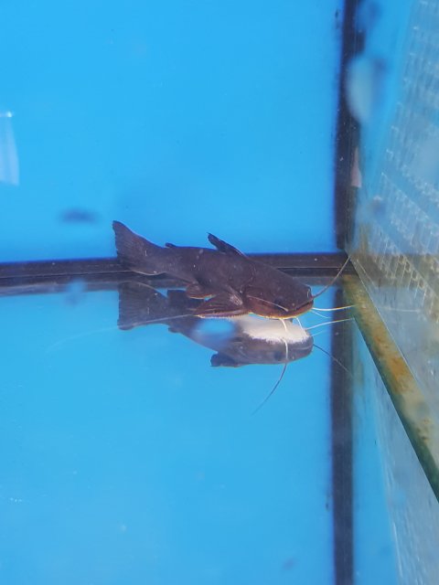 20220805_173949.jpg 20220805_173949.jpg