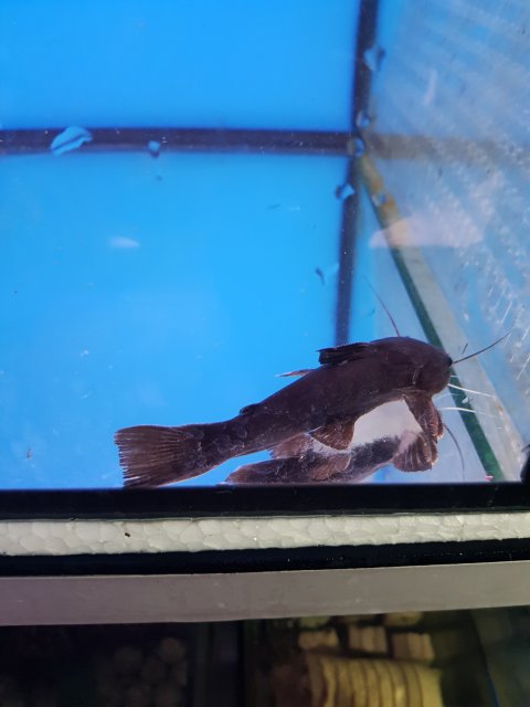 20220805_173916.jpg 20220805_173916.jpg