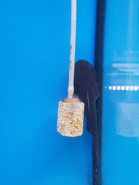 20220805_173855.jpg 20220805_173855.jpg