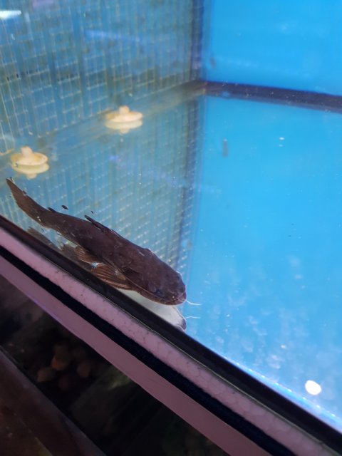 20220805_173847.jpg 20220805_173847.jpg