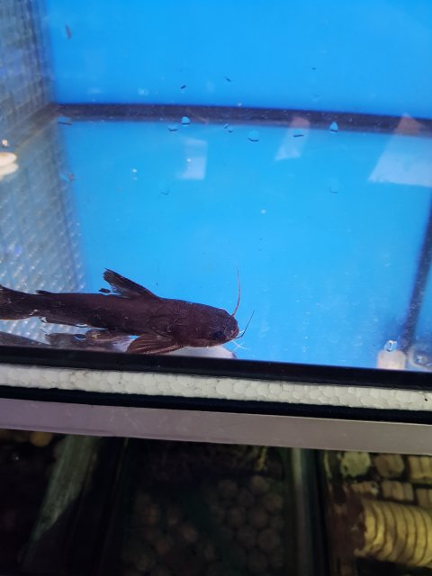 20220805_173834.jpg 20220805_173834.jpg